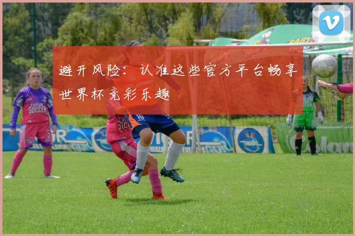 避开风险：认准这些官方平台畅享世界杯竞彩乐趣