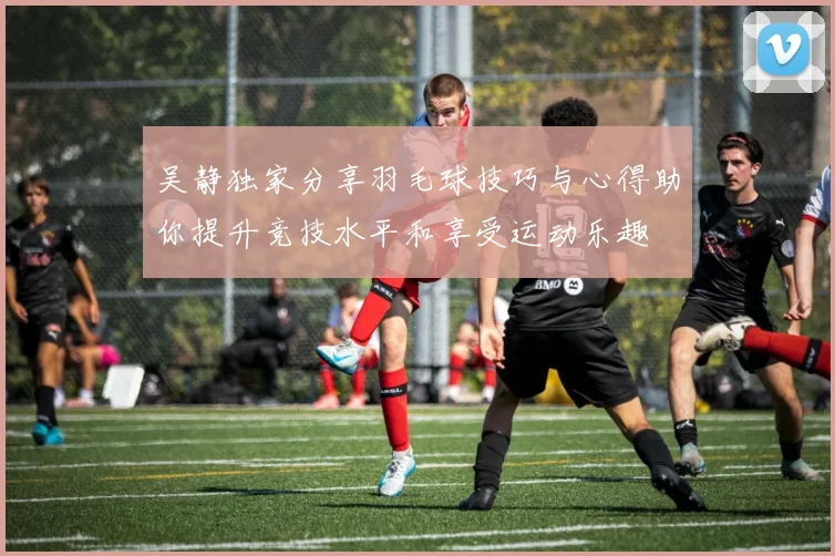 吴静独家分享羽毛球技巧与心得助你提升竞技水平和享受运动乐趣