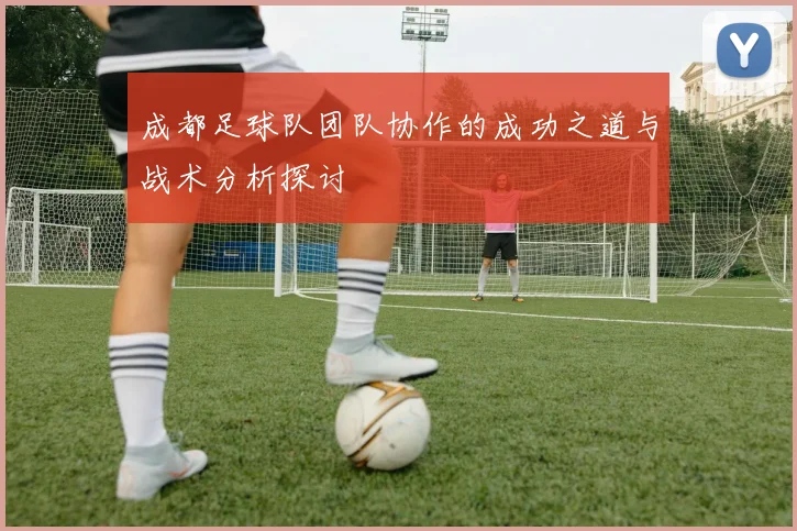 成都足球队团队协作的成功之道与战术分析探讨